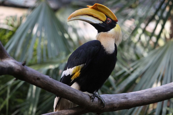 Zoo de Lourosa – Parque Ornitológico